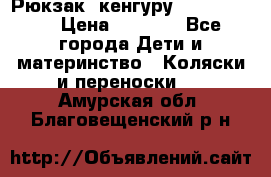 Рюкзак -кенгуру Baby Bjorn  › Цена ­ 2 000 - Все города Дети и материнство » Коляски и переноски   . Амурская обл.,Благовещенский р-н